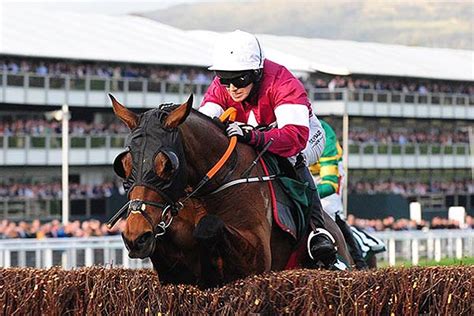 tiger roll stats|Tiger Roll Racehorse Profile, Stats, Form Guide, News & Results .